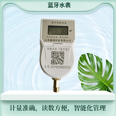 蓝牙水表